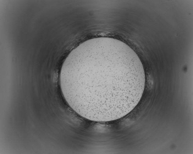 X0000094230657200711241746
