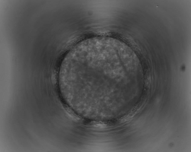 X0000094230658200711241746