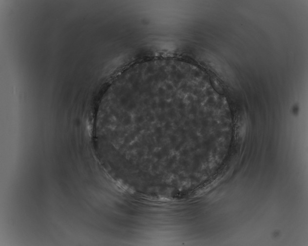 X0000094230661200711241746