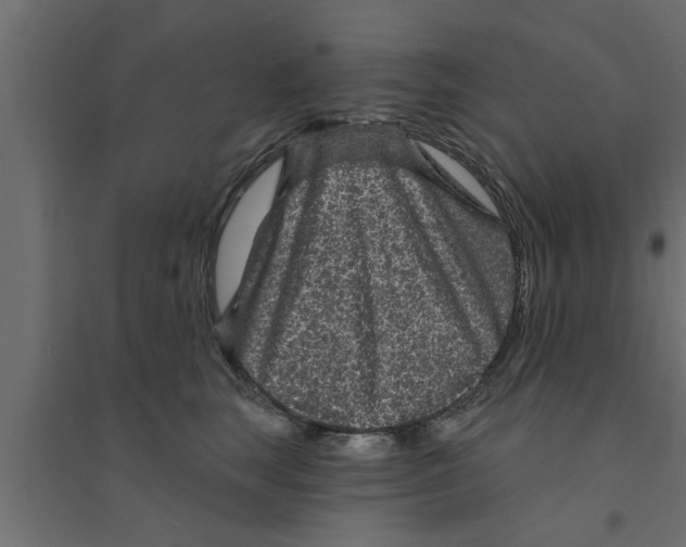X0000094230663200711241746