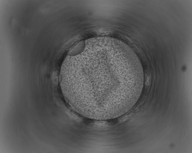X0000094230666200711241746