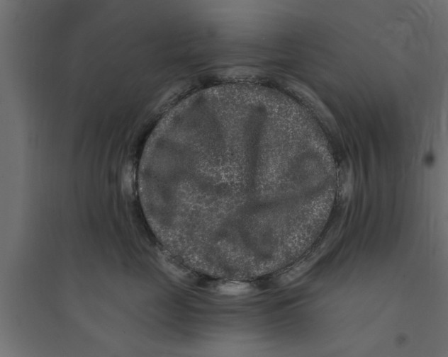 X0000094230669200711241746