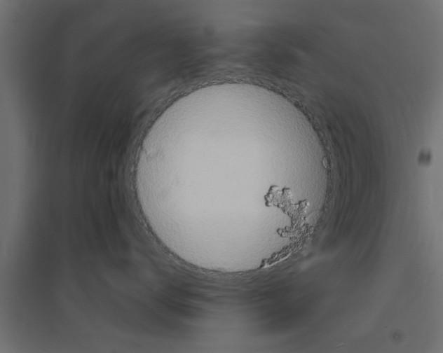 X0000094230672200711241746