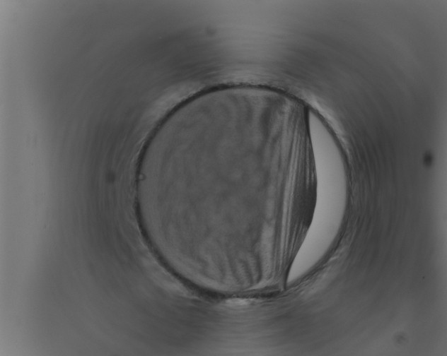X0000094230673200711241745
