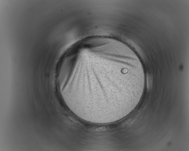 X0000094230675200711241745