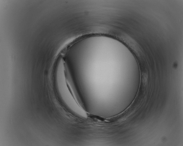 X0000094230676200711241745
