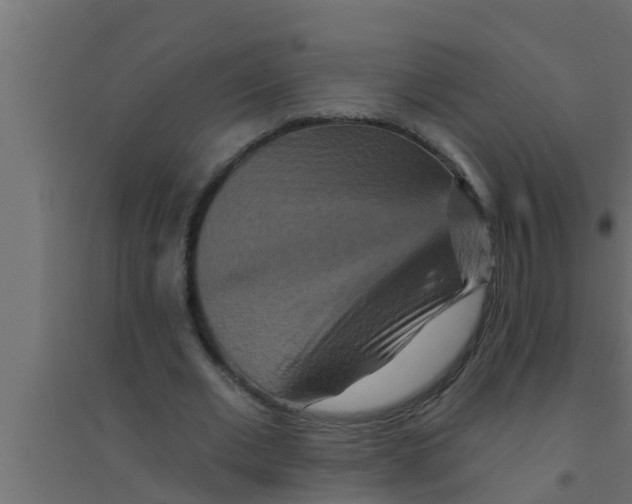 X0000094230677200711241745