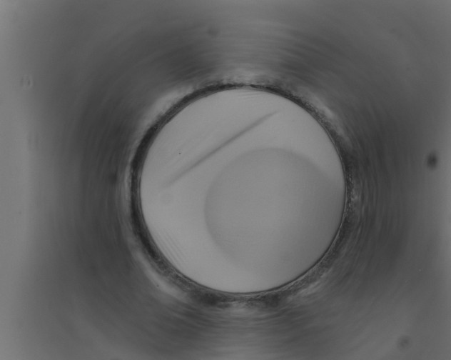 X0000094230678200711241745