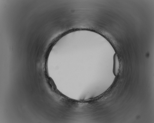 X0000094230680200711241745