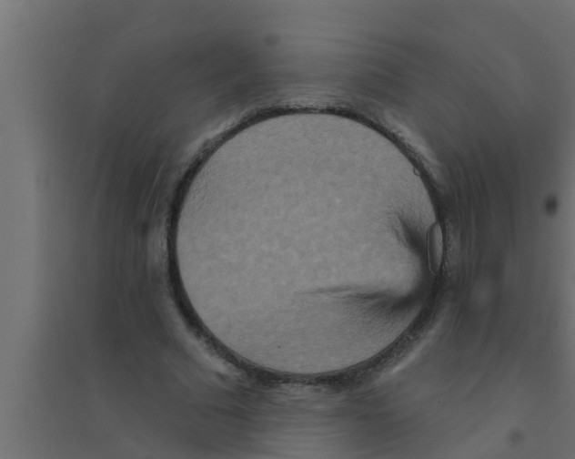 X0000094230681200711241745