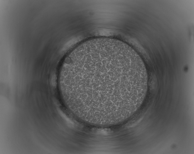 X0000094230683200711241745