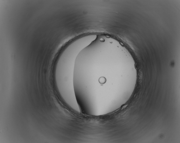 X0000094230684200711241745