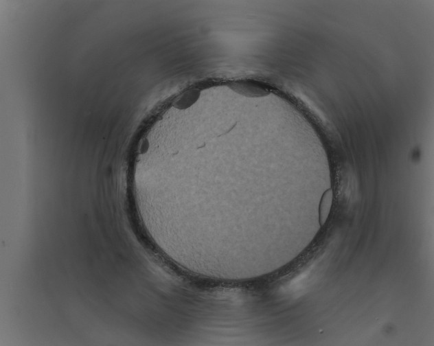 X0000094230685200711241745