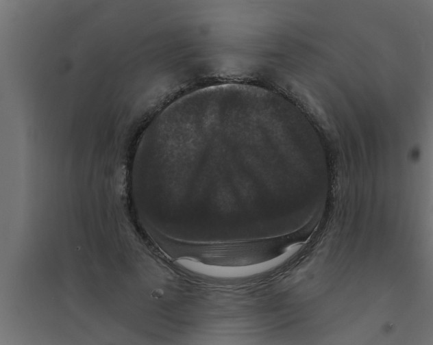 X0000094230689200711241745