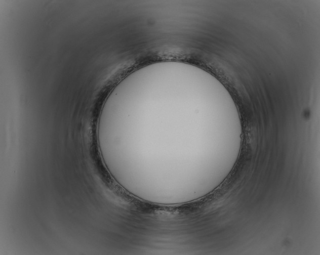 X0000094230690200711241745