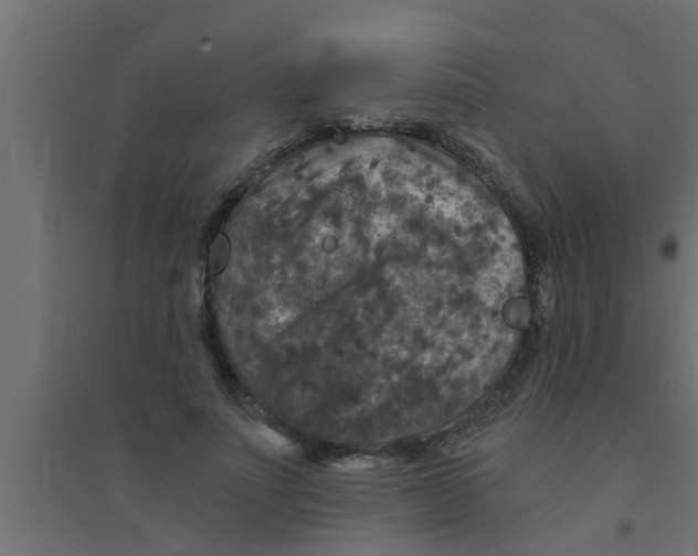 X0000094230691200711241745