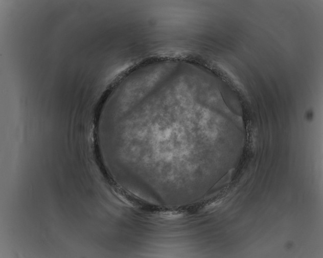 X0000094230692200711241745