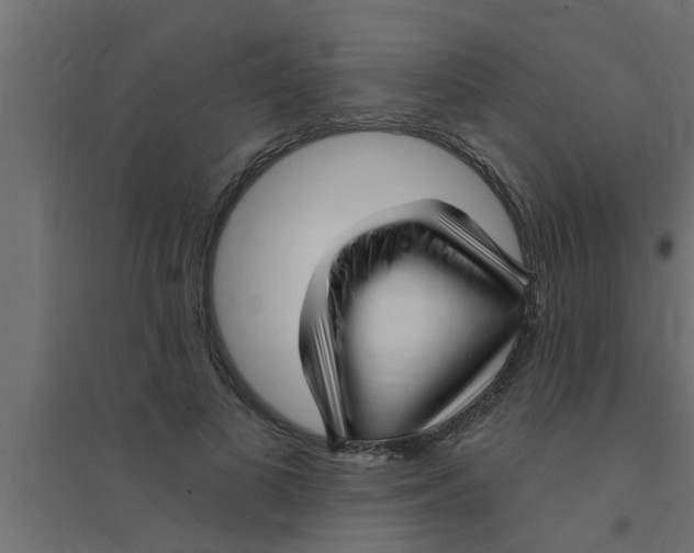 X0000094230693200711241745
