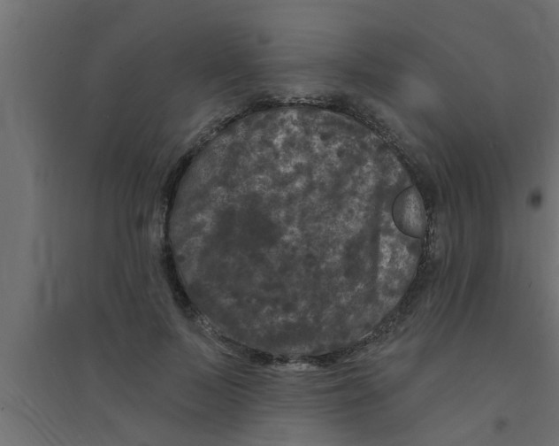 X0000094230695200711241745