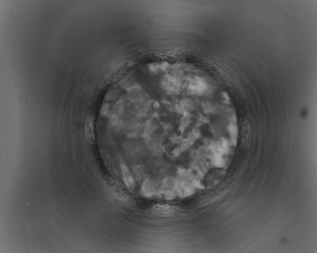 X0000094230699200711241745
