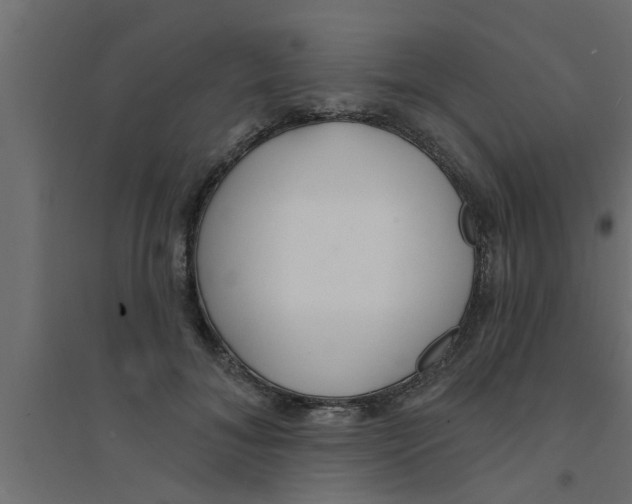 X0000094230700200711241745
