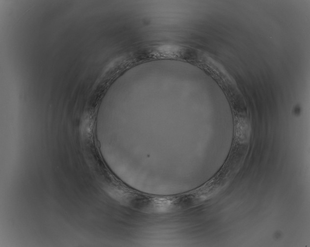 X0000094230701200711241745