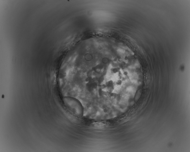 X0000094230703200711241745