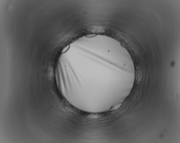 X0000094230704200711241745