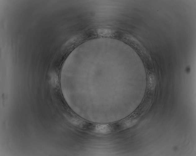 X0000094230705200711241745