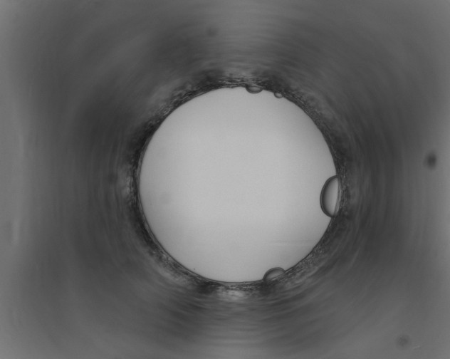 X0000094230706200711241745