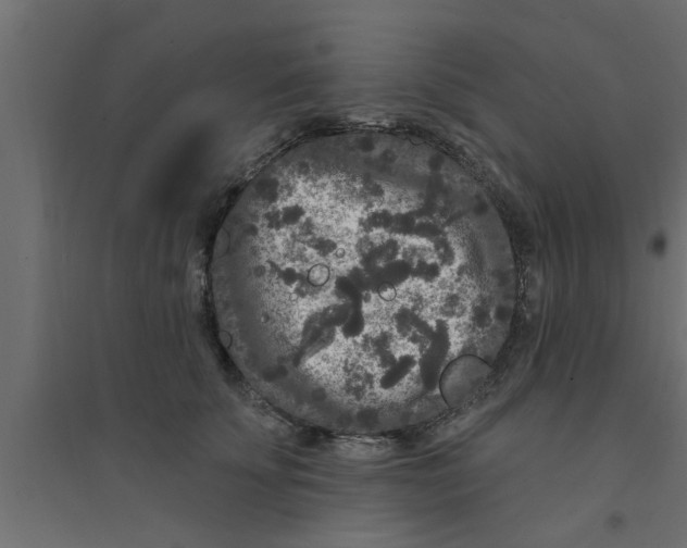 X0000094230707200711241745