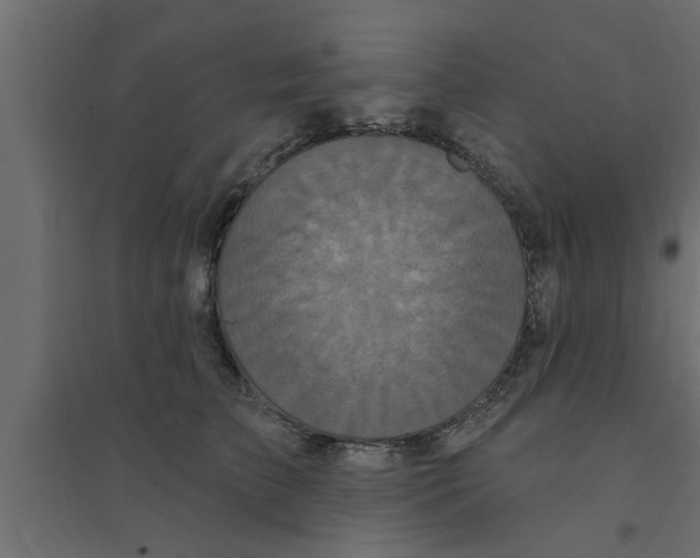 X0000094230709200711241745