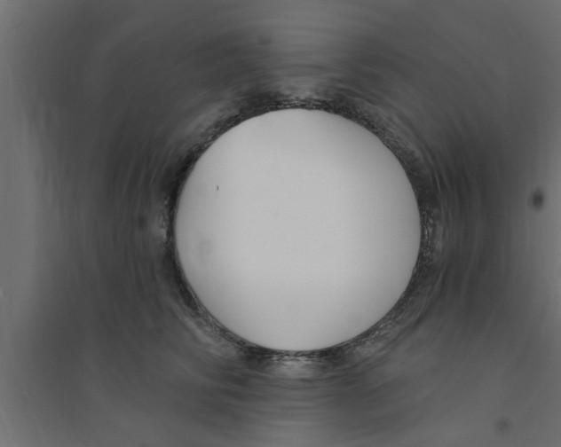X0000094230710200711241745