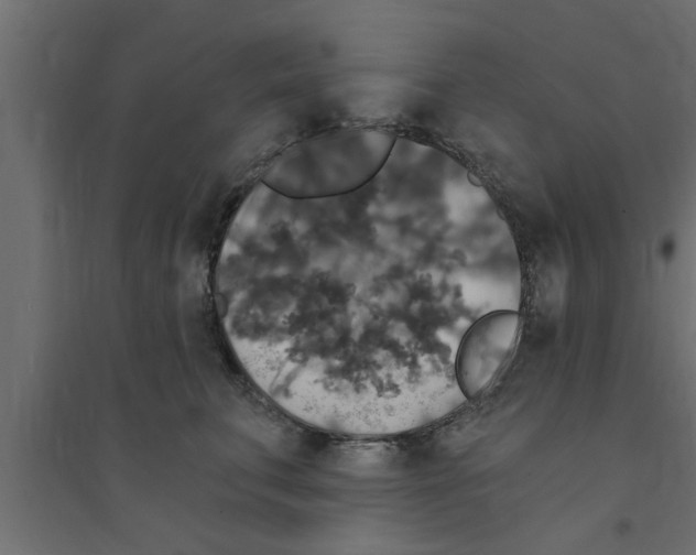 X0000094230711200711241745