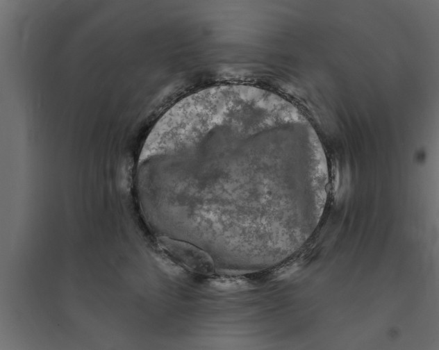 X0000094230712200711241745