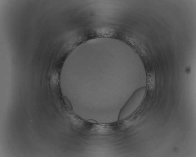 X0000094230713200711241745