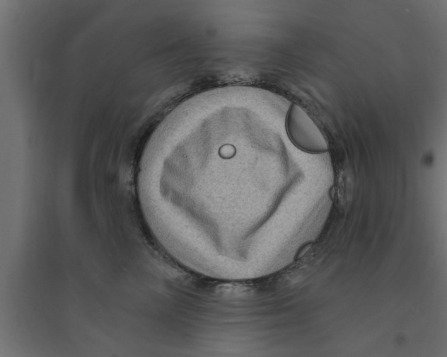 X0000094230714200711241745