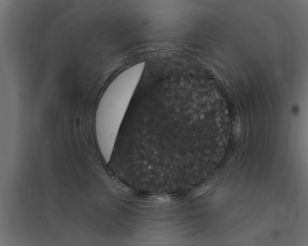 X0000094230715200711241745