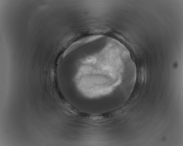 X0000094230716200711241745