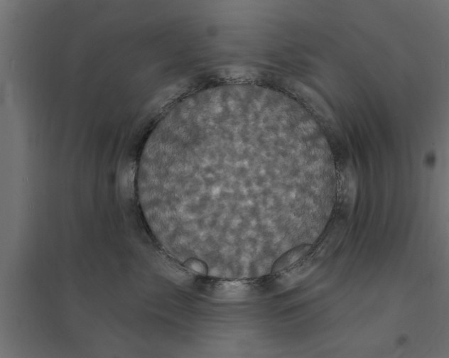 X0000094230717200711241745