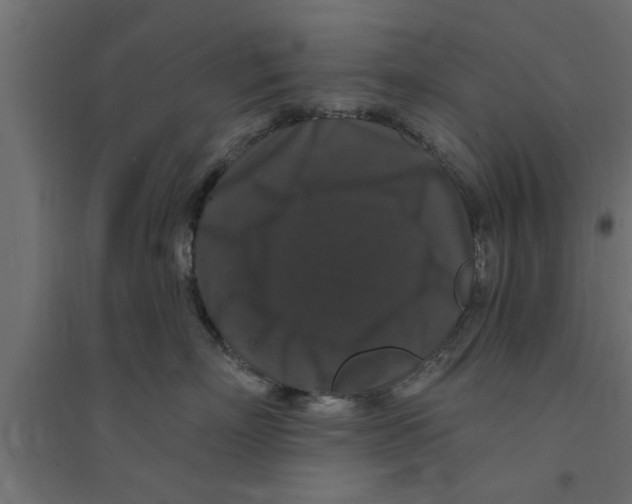 X0000094230718200711241745