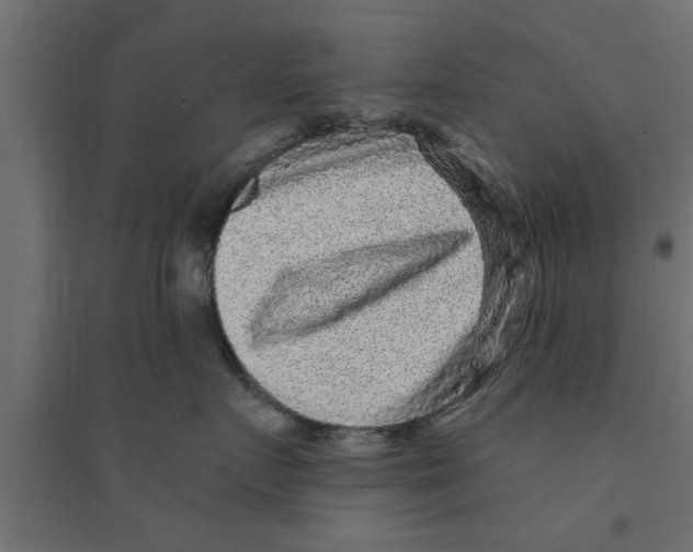 X0000094230719200711241745