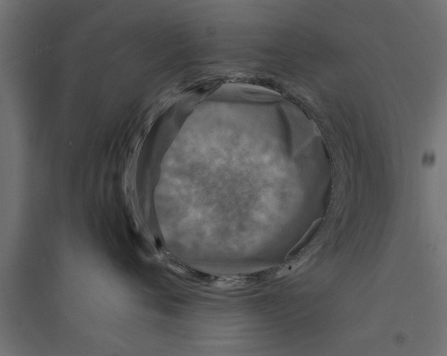 X0000094230720200711241745