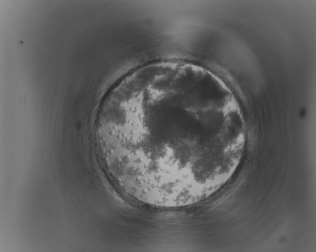 X0000094230721200711241744