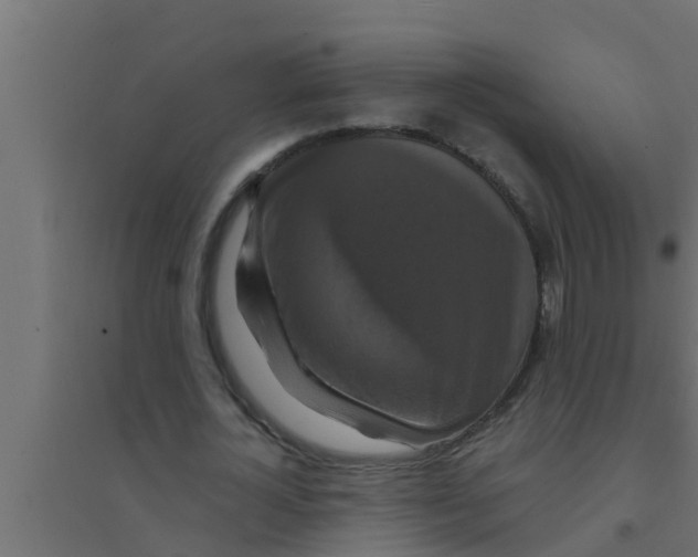 X0000094230724200711241744