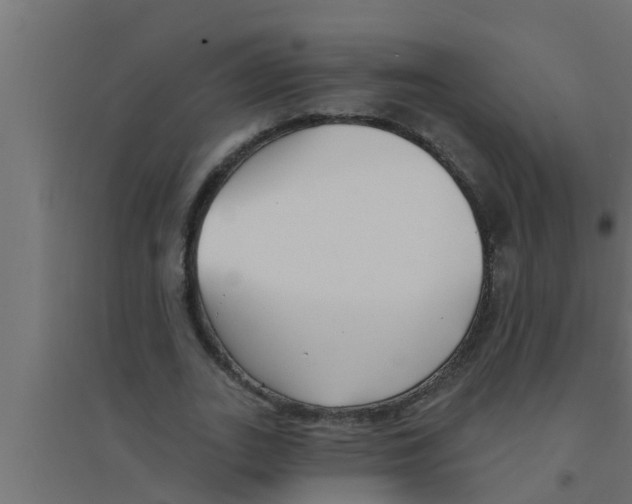 X0000094230727200711241744