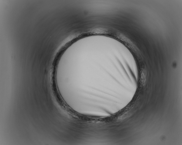 X0000094230730200711241744