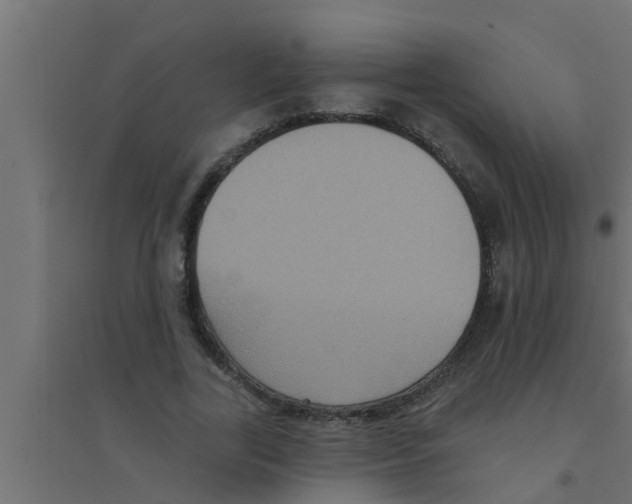 X0000094230731200711241744