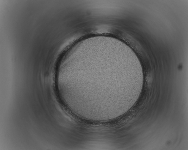 X0000094230732200711241744