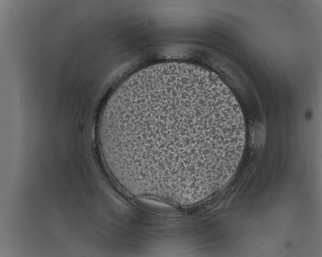X0000094230733200711241744